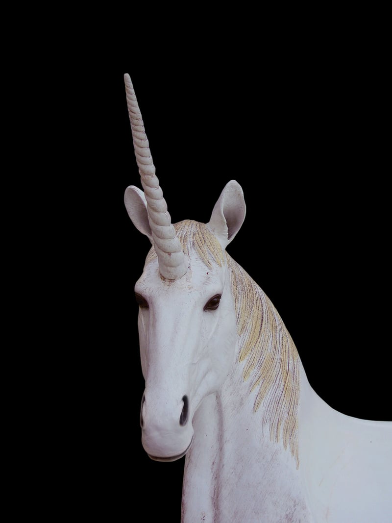 Unicorn Archway